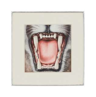 Playboy | Alex Ebel Tiger Drawing | Julien’s