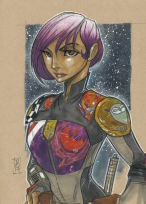 Star Wars Rebels Sabine by Tom Hodges | eBay US (Buy It Now)