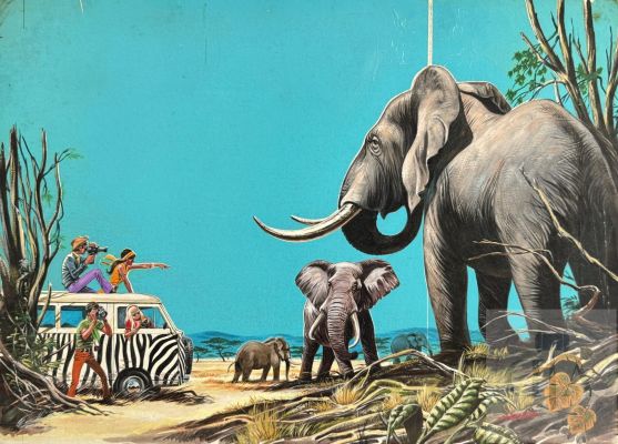 Aidans/Les Panthères. Illustrations Originales Xl Réalisée Pour Le Journal Tintin Pour L’annonce de L’histoire "Safari Diamant’. Superbe Qualité D’exécution. Aquarelle, Gouache Et Encre de Chine. Signé Et Daté 1971. Rare. Tbe. 50 X 40 Cm |  | Dagoty