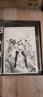 LADY DEATH COMMISSION BY JULIEN HUGONNARD BERT | eBay US (Buy It Now)