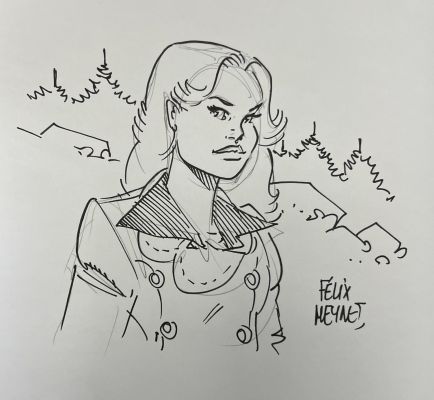 L’ALPAGE DISPARU DÉDICACÉ PAR FELIX MEYNET N°2 - UN POLAR SAVOYARD DE FANFOUÉ T4 - EDITION BRUNO GRAFF | Pulp’s