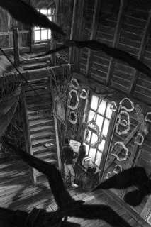 Nicolas Delort - Illustration intitulée Les Dents de la mer