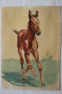 Cuvelier, Paul | Cuvelier, Paul - Originele tekening in kleur - Veulen | Catawiki