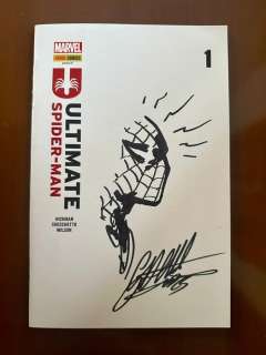 Gabriele Dell’Otto - 1 Original drawing - Spider-Man - headshot su Blank Cover | Catawiki