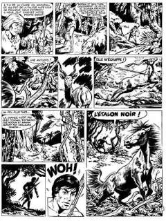 Aidans (Édouard - TOUNGA