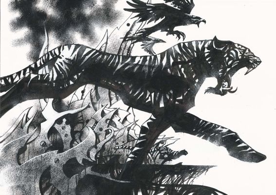 Danijel Zezelj | Illustration Tiger | Galerie Glénat