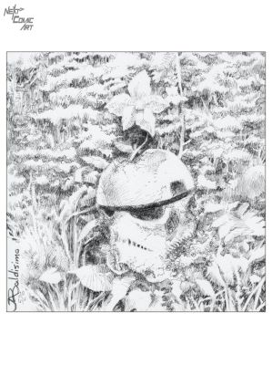 Kajo Baldisimo | Stormtrooper | Next Comic Art
