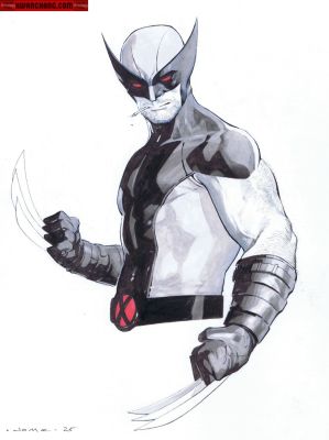Jerome Opena | Sketches Issue Wolverine | Kwan Chang