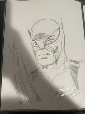 Wolverine Original Artist sketch Herb Trimpe | eBay US (Buy It Now)