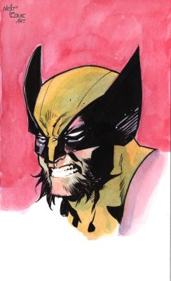 Roi Mercado | Wolverine Study 2 | Next Comic Art