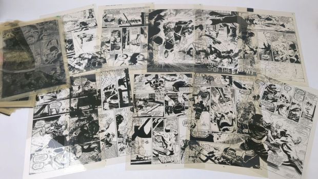 Daredevil, the Man... | DAREDEVIL, the man without fear Un ensemble de rhodoids... | misc / divers