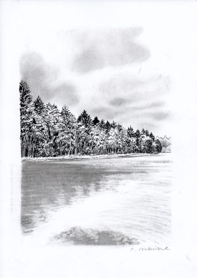 Catherine Meurisse | LE CLAN DE WALDEN – PLANCHE ORIGINALE 85 | Galerie Barbier