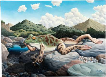 Woodring, Jim - Jim Woodring "I See me In Thee" Frog Painting Original Art (c. 2000s)....