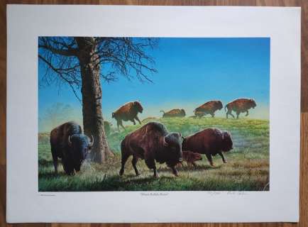 Corben, Richard - 1 Offset Print - Where Buffalo Roam - 1993 | Catawiki