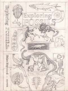 Helen Haywood - Exploring Fossils - Coverproject | Catawiki