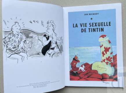 Bucquoy/La vie sexuelle de Tintin. Dessin original en 6e… | Dagoty