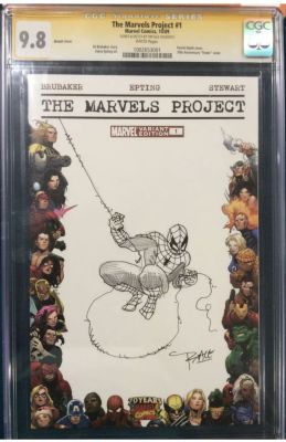 Tim Sale The Marvels Project #1 Spider-Man Sketch Cover | Raremarq (Buy It Now)