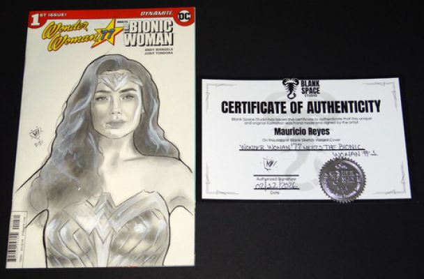 WONDER WOMAN 77 MEETS THE BIONIC WOMAN #1 SKETCH VARIANT (2016 DC) | eBay US (Buy It Now)