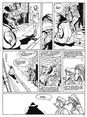 Sokal Benoît | Planche originale 2 du Tome 9 de Canardo - Le Caniveau sans lune - | Galerie Napoléon