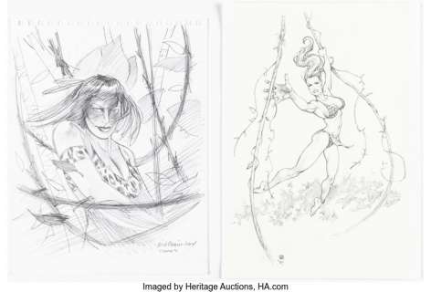 Stephens, Jay - Jay Stephens, Nick Craine, and others - Sheena, The Jungle Queen Illustrations Original Art Group of 4 (2001-05).... (Total: 4 Original Art)