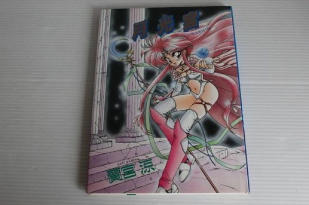 RYO RAMIYA Art Works Illustration Book LUNARIUM Japan 1993 Used | eBay Europe (Buy It Now)