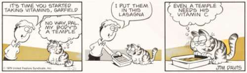 Jim Davis Garfield | Daily | Heritage