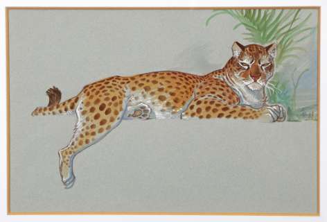 Frank Pé | Zoo, illustration Ã  l’aquarelle, Ã  la gouach… | Millon