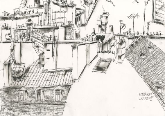 Emmanuel Lemaire | 2024 - Toits parisiens désaccordés avec un chat | Huberty Breyne Gallery