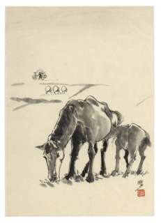 Goseki Kojima Hand-Drawn Illustration | Mandarake (Big Web)