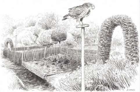 Servais. Illustration originale Orval | BDEnchères