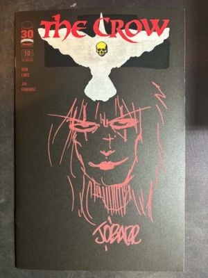 JAMES O’BARR The Crow Original Art Sketch - Custom Blank Cover - NM | eBay US