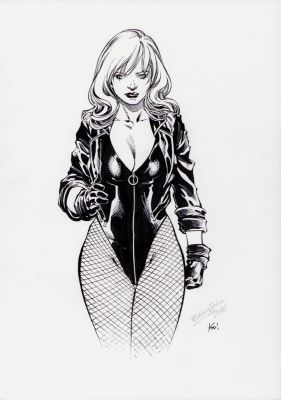 Ediano Silva | Black Canary Detailed Ink Art Commission - Signed 2016 | Anthony’s Comic Book Art