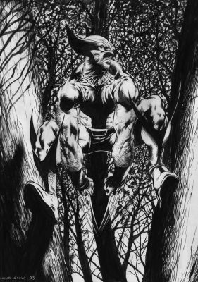 Manuel Garcia | Manuel Garcia - Wolverine Commission | ComicArtFans Classifieds