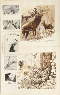 Lucien Nortier (1921-1994) | Lot 149 : Illustrations animalières Encre de couleurs sur papiers signés en… | Fauve Paris