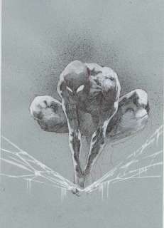 Jason Shawn Alexander | Spider Man | Jason Shawn Alexander