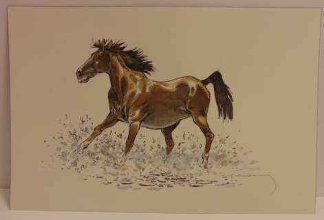 Hermann | Hermann - Originele tekening in kleur - Paard - (2017) | Catawiki