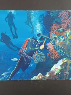 Faganello, Bruno - Illustrazione Originale "Cacciatore di Coralli" | Catawiki