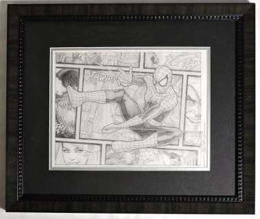 Spider-Man Beyond The Borders Framed Original Art by Randy Martinez