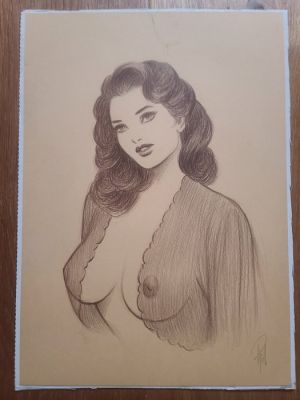 Laurent Paturaud - 1 Original colour drawing - .. - Illustration de Charme | Catawiki