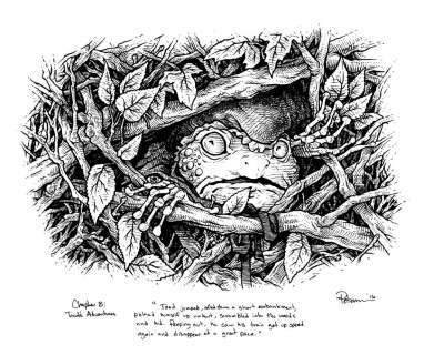 David Petersen | Toad hides from the police Original Art | David Petersen