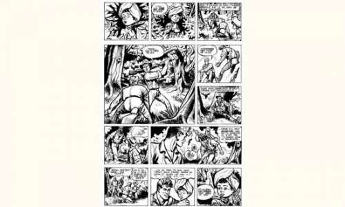 PLANCHES et DESSINS ORIGINAUX SIRIUS. Â« L’Epervier Bleu Â» Encre de Chine | Tessier Sarrou