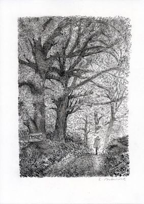 Catherine Meurisse | Le Clan de Walden - Planche originale 28 | 2DGalleries