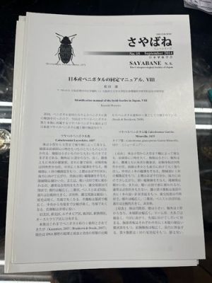 Sayabane no. 15 de septiembre de 2014 edición de septiembre sayabane n.s.... | eBay Europe (Buy It Now)