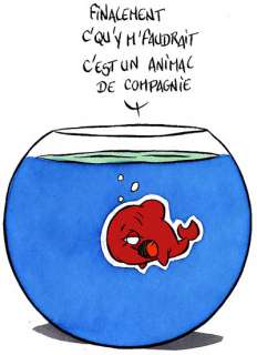 Nicolas Poupon - Le fond du bocal - T4 - Fournie avec sa mise en couleurs