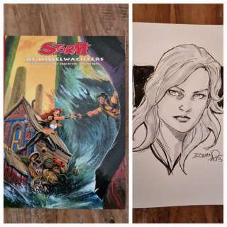 Romano | Storm - Luxe de Wisselwachters met prachtige tekening en softcover - Cartonné - EO - (2013) | Catawiki