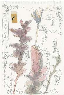 Haruo Koyama’s Hand-Drawn Color Illustration "Chabo Hishak Moss" | Mandarake (Big Web)