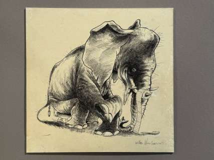 Vleeschouwer, Willem - 1 Original drawing - Elephant | Catawiki