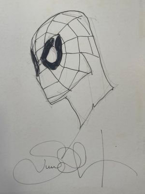 Simone Bianchi - 1 Original drawing - Spider-Man - ink | Catawiki