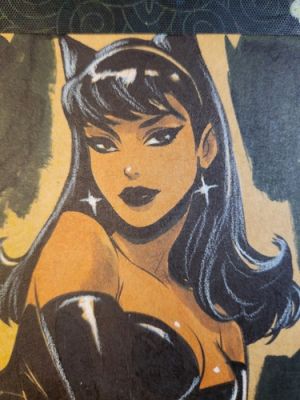 Catwoman Original Art Illustration Signed 8.5x11 COA | eBay US (Buy It Now)
