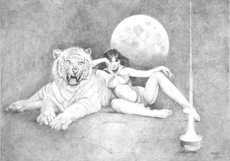 ENRIQUE (ENRIC) TORRES PRAT Vampirella e la tigre | Little Nemo